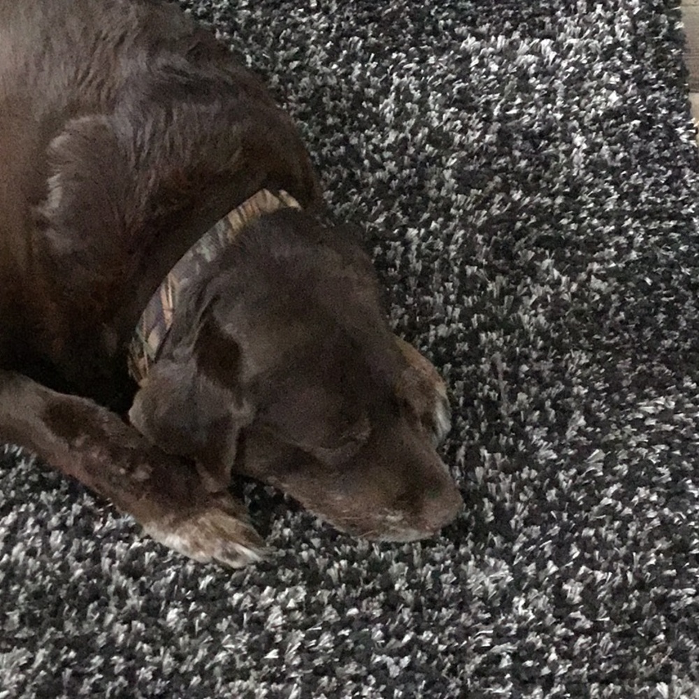 Meet your Posher, Michele